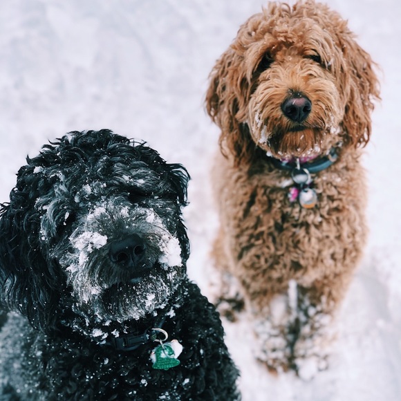 Meet your posher - Megan :) - Picture 2 of 4